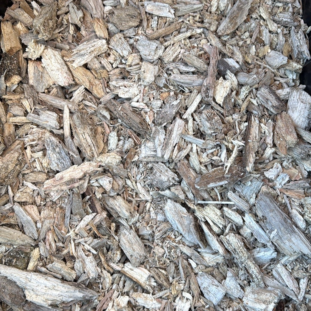 Eat My Dust - Supplemental Detritivore Diet