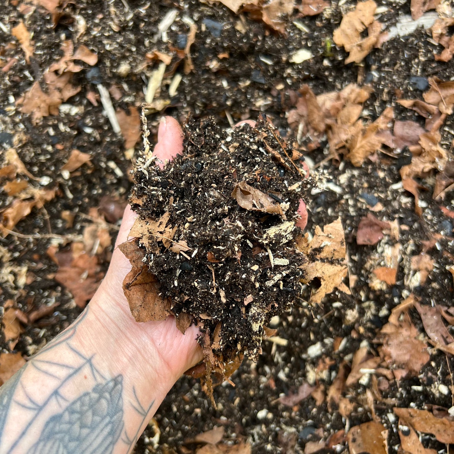 Isopod Substrate