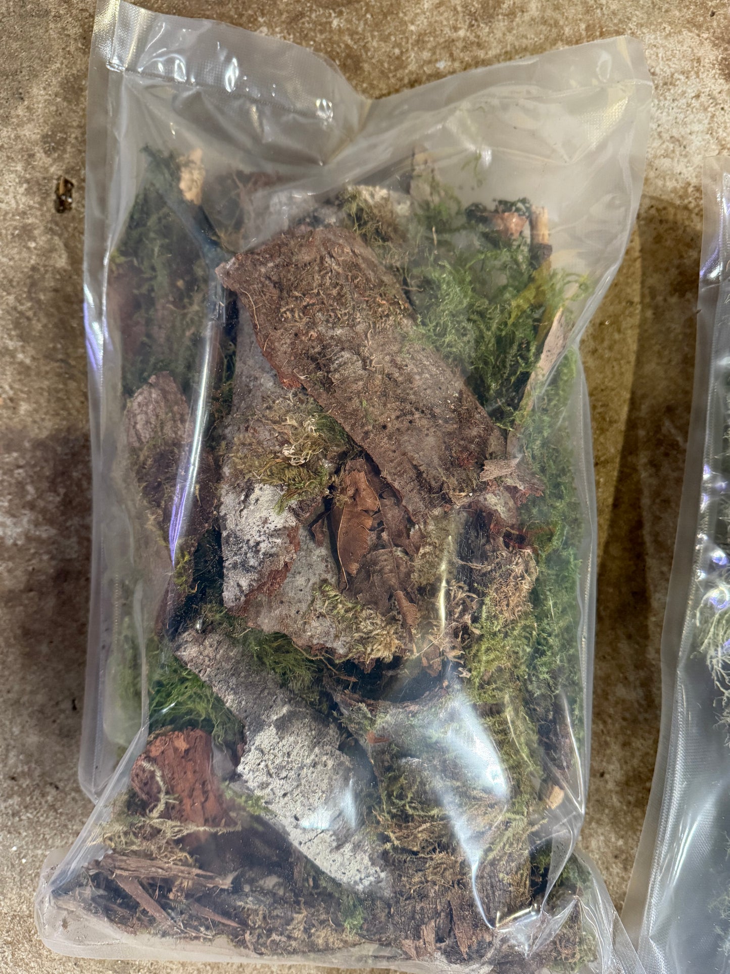 Assorted Bark Hides