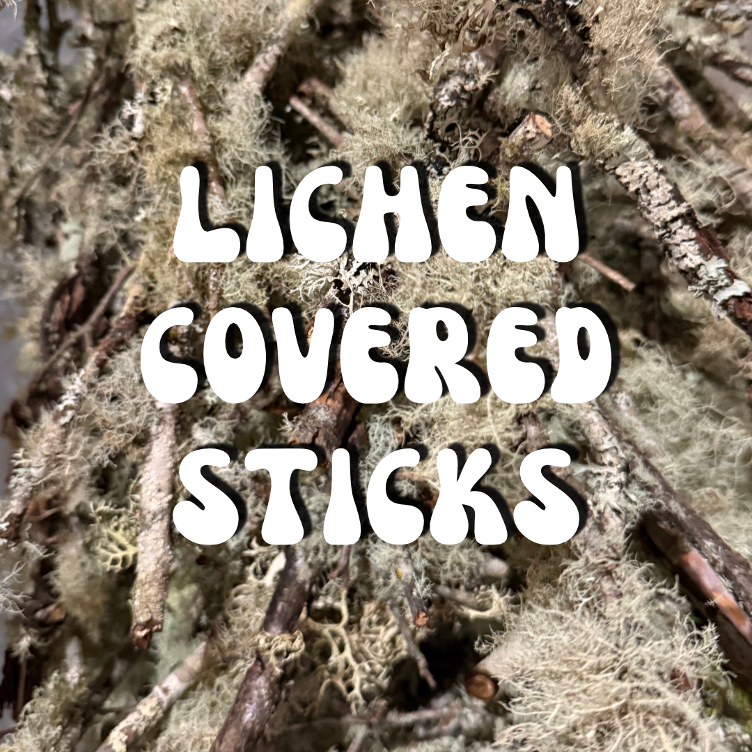 Assorted Lichen Covered Sticks