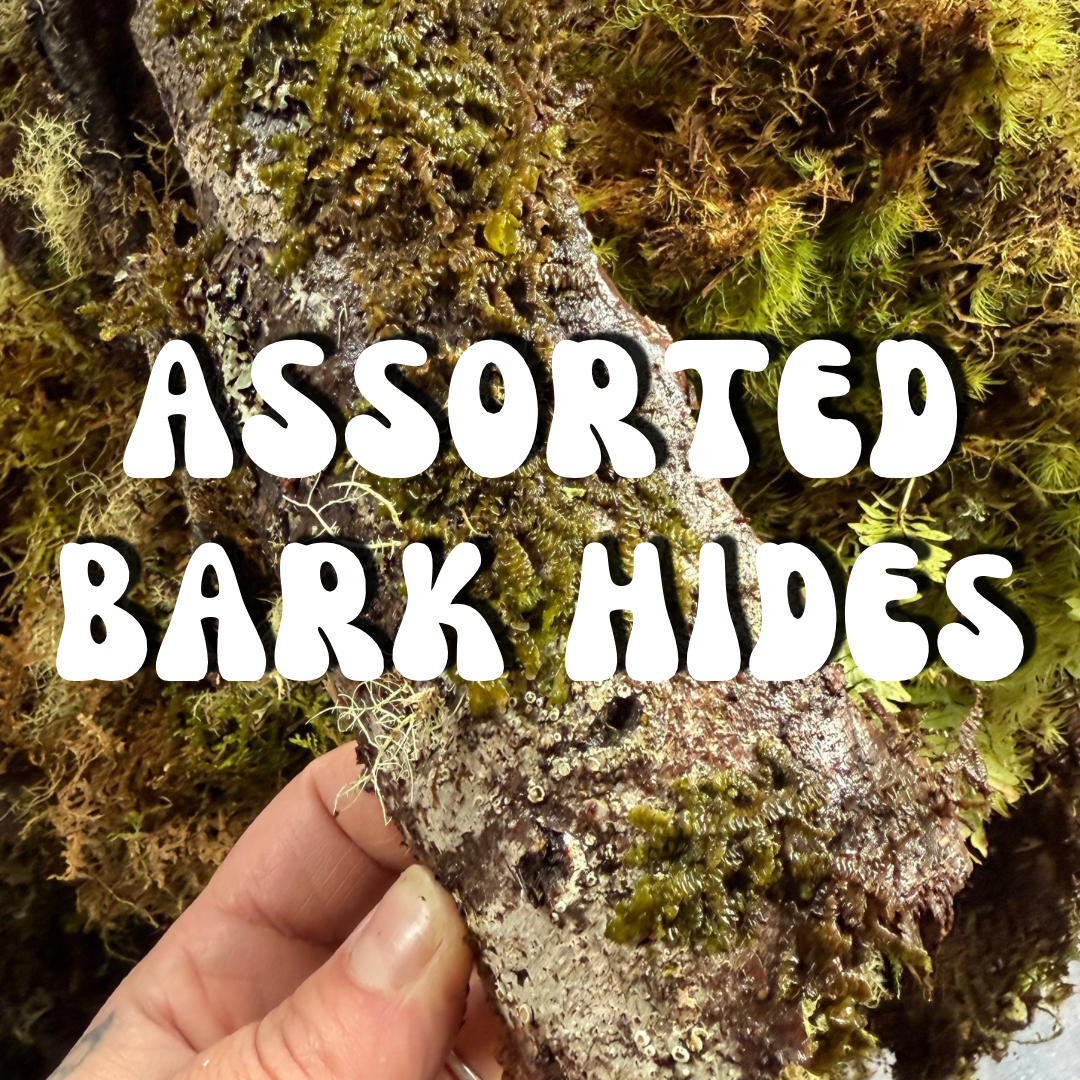 Assorted Bark Hides