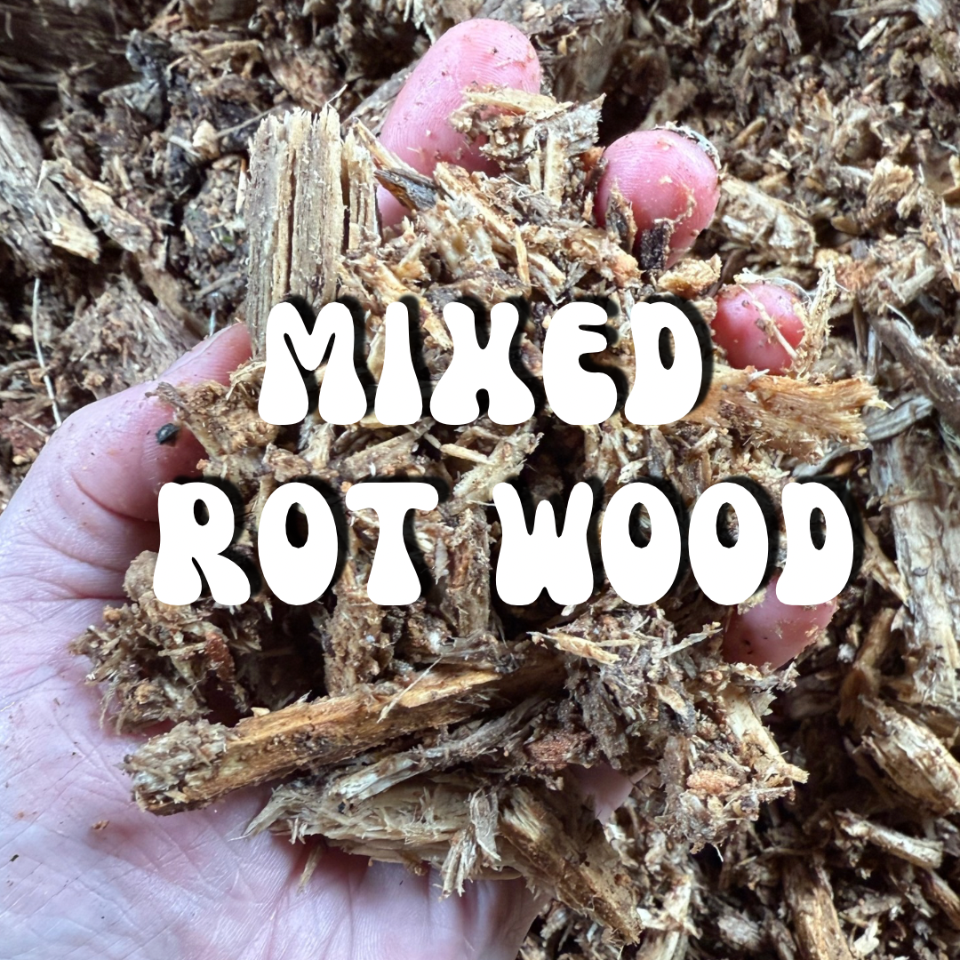Decaying Rot Wood - Mulched Maple, Alder & Ash