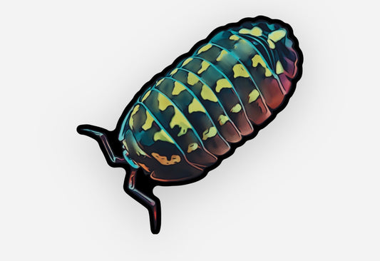 Yellow Spotted Sticker