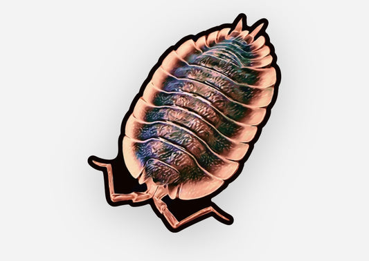 Greek Shield Sticker