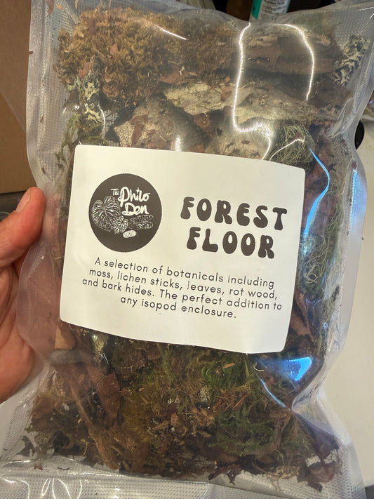 Forest Floor