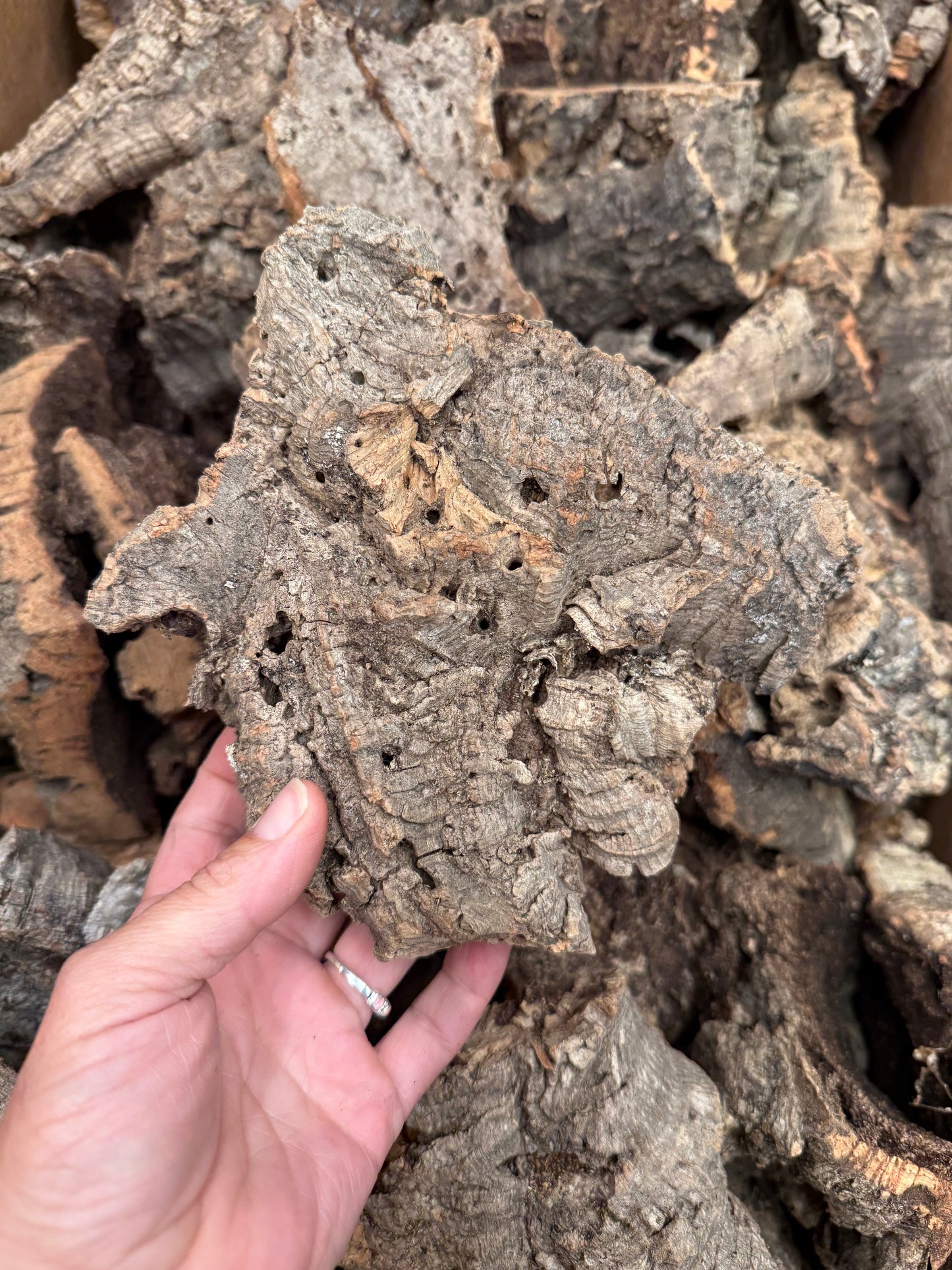 Cork Bark Hides