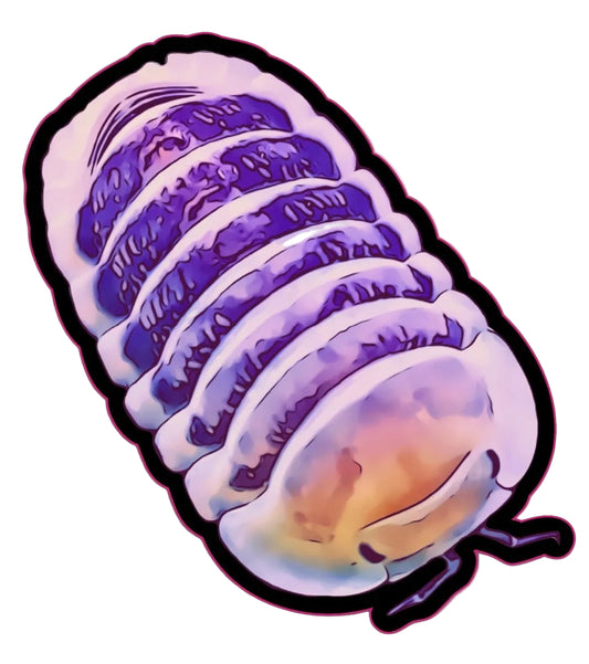 Jupiter Sticker