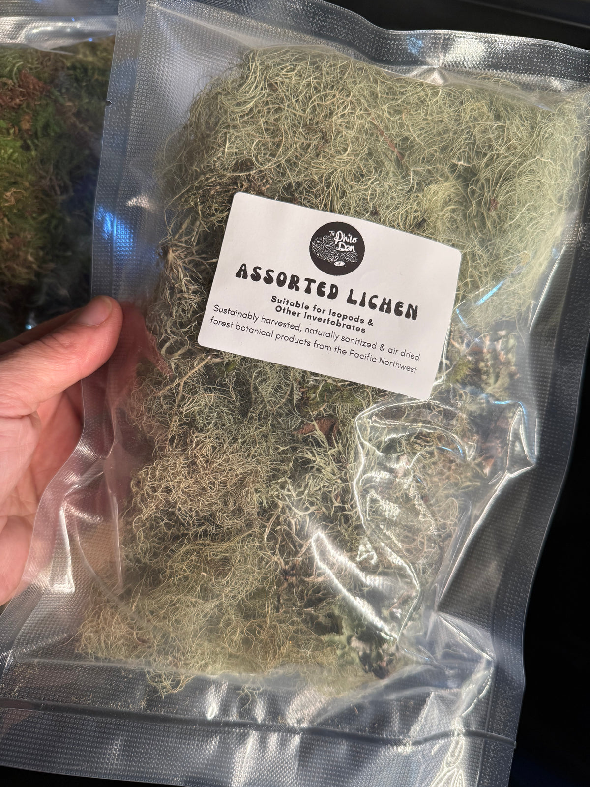 Assorted Lichen