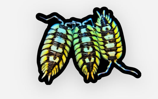Expansus Trio Sticker