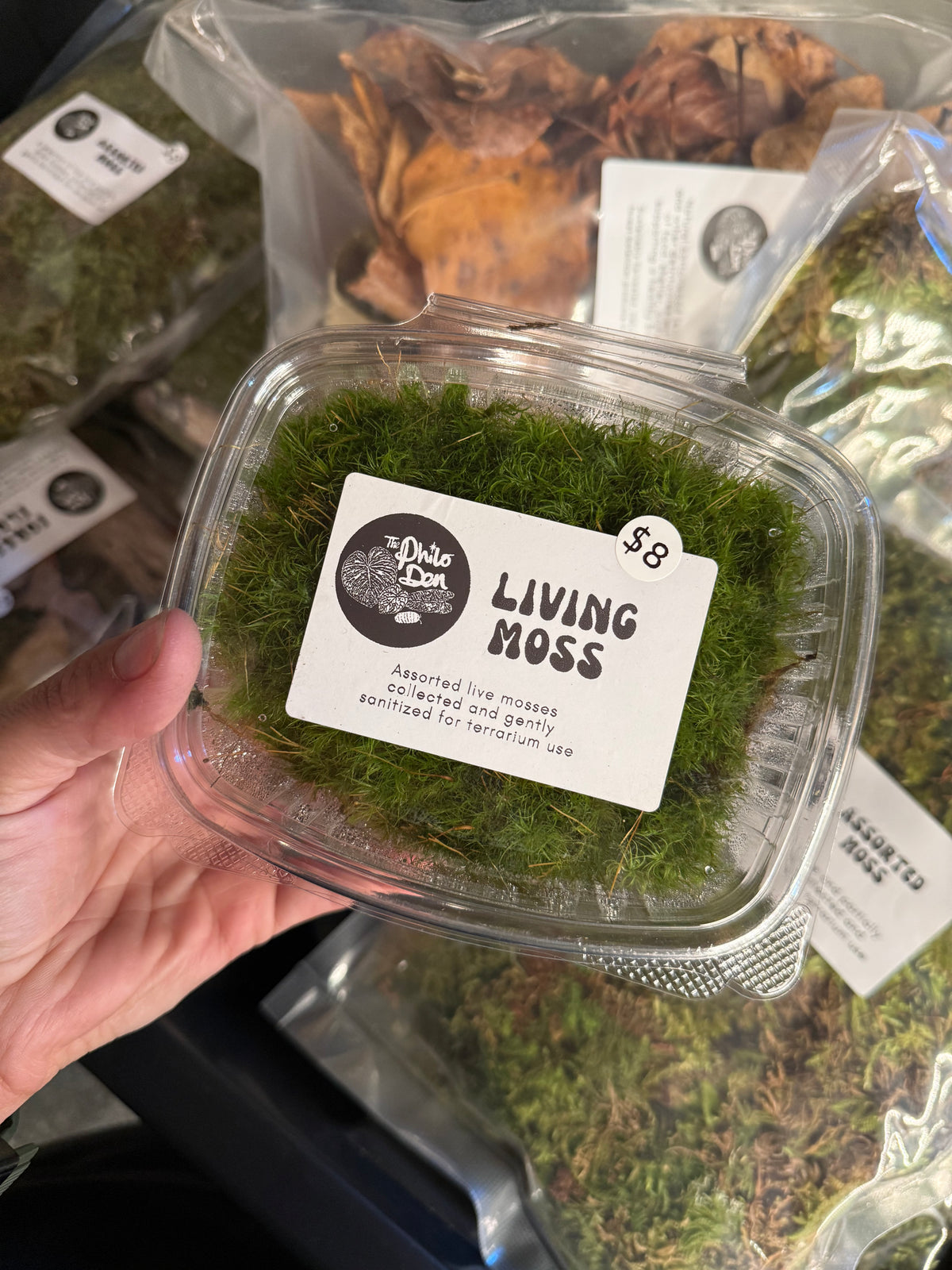 Living Moss