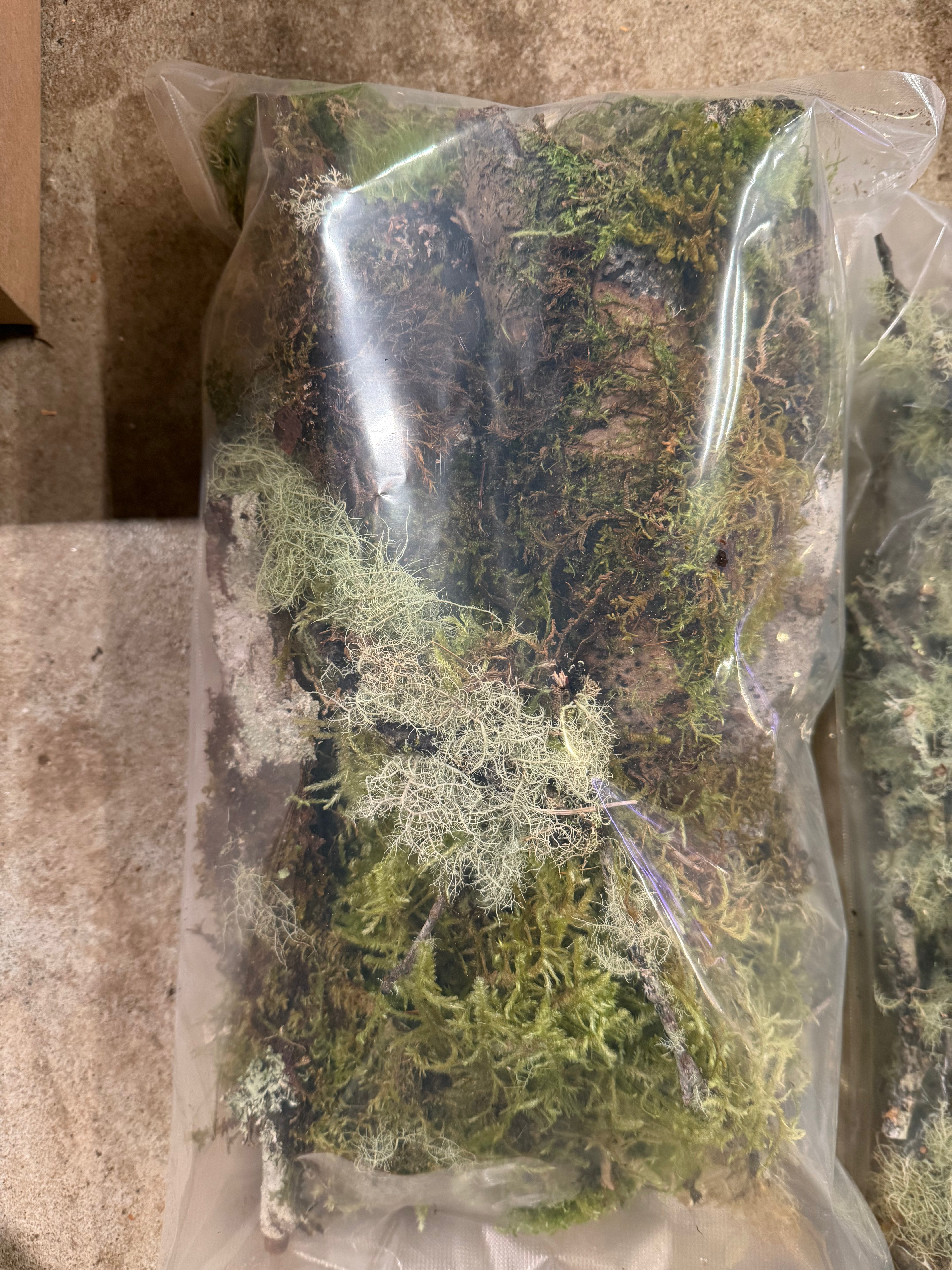 Javis Bulk Pack Mixed Colour Lichen – Model Railway Scenery OO Gauge