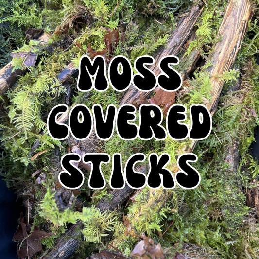 Assorted Moss Covered Sticks